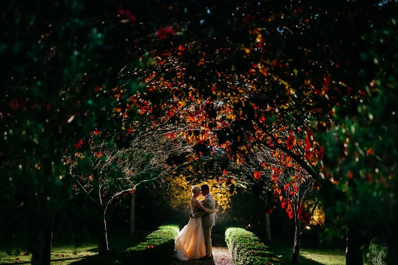 William and Caroline. It's been an absolute blast - thank you for allowing me to document your day for you. 

venue @secretgardenkent 
Florist @karenanemoneblue 
MUA @idomakeupandhair_ 
Dress @missstellayork @victoriasbridalboutique 
Cake @allshapesc