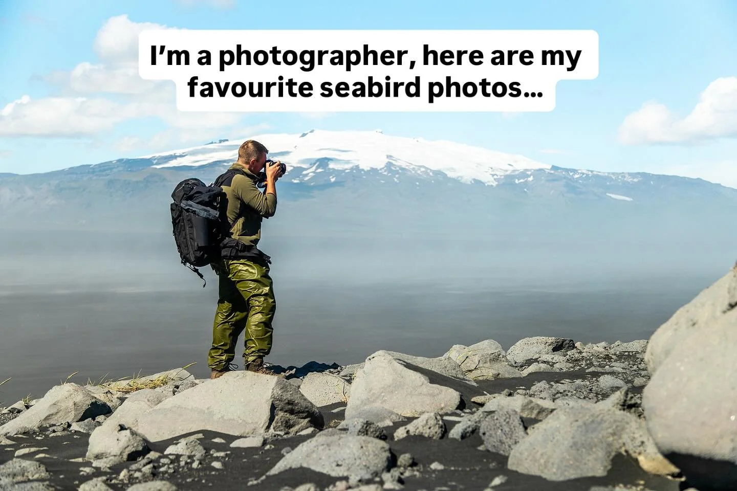 Spectacular Seabirds 💙

Seabirds are one of the most captivating species groups. Battered by the wind and waves, they are masters of the ocean, nesting on sheer cliffs above rough seas and enduring the full force of the elements. They ride out gales