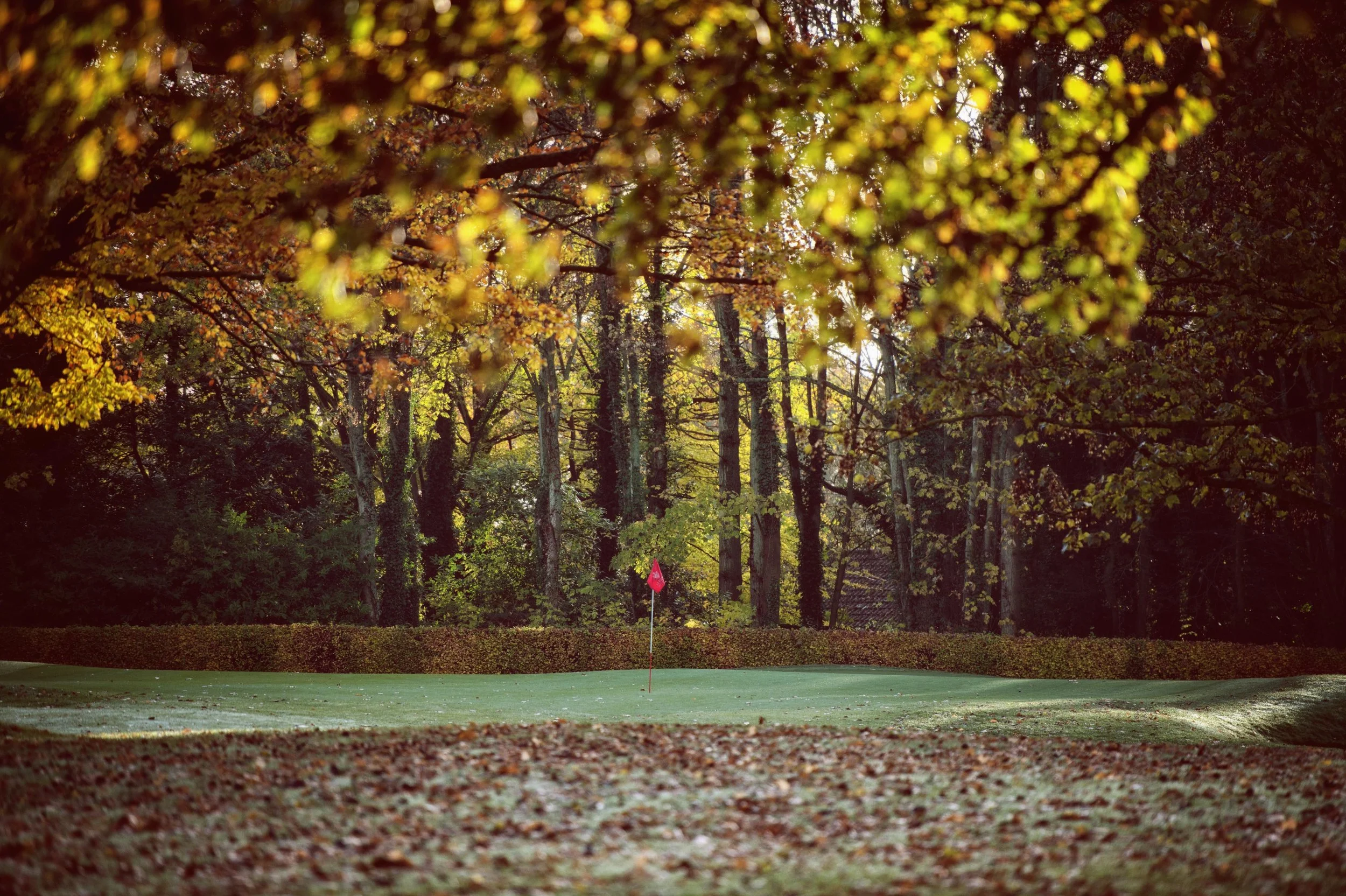 Aniko Towers Golf st.pierre-8.jpg