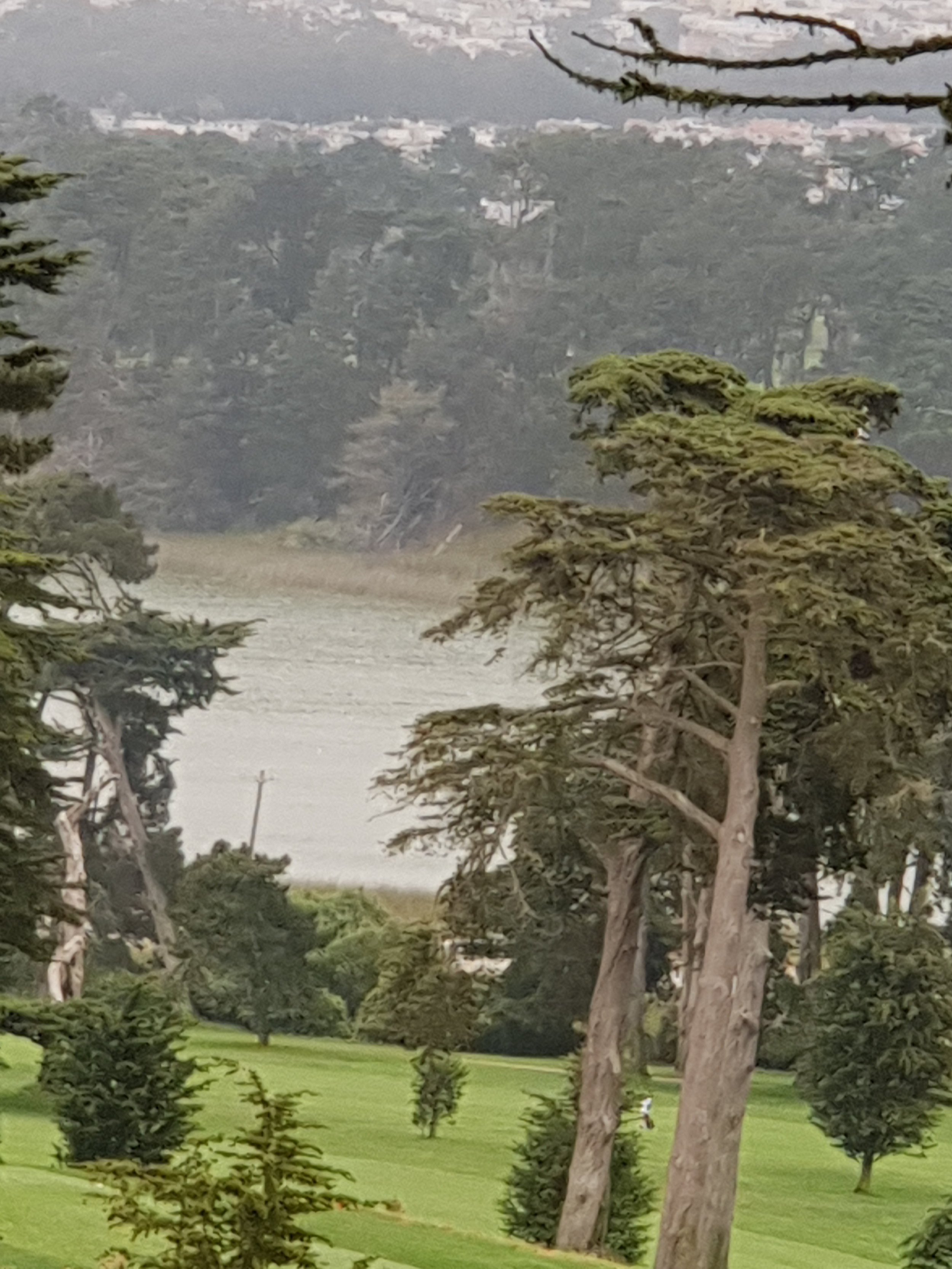 2018 Breathtaking views at 'The Olympic Club' Lake Course '