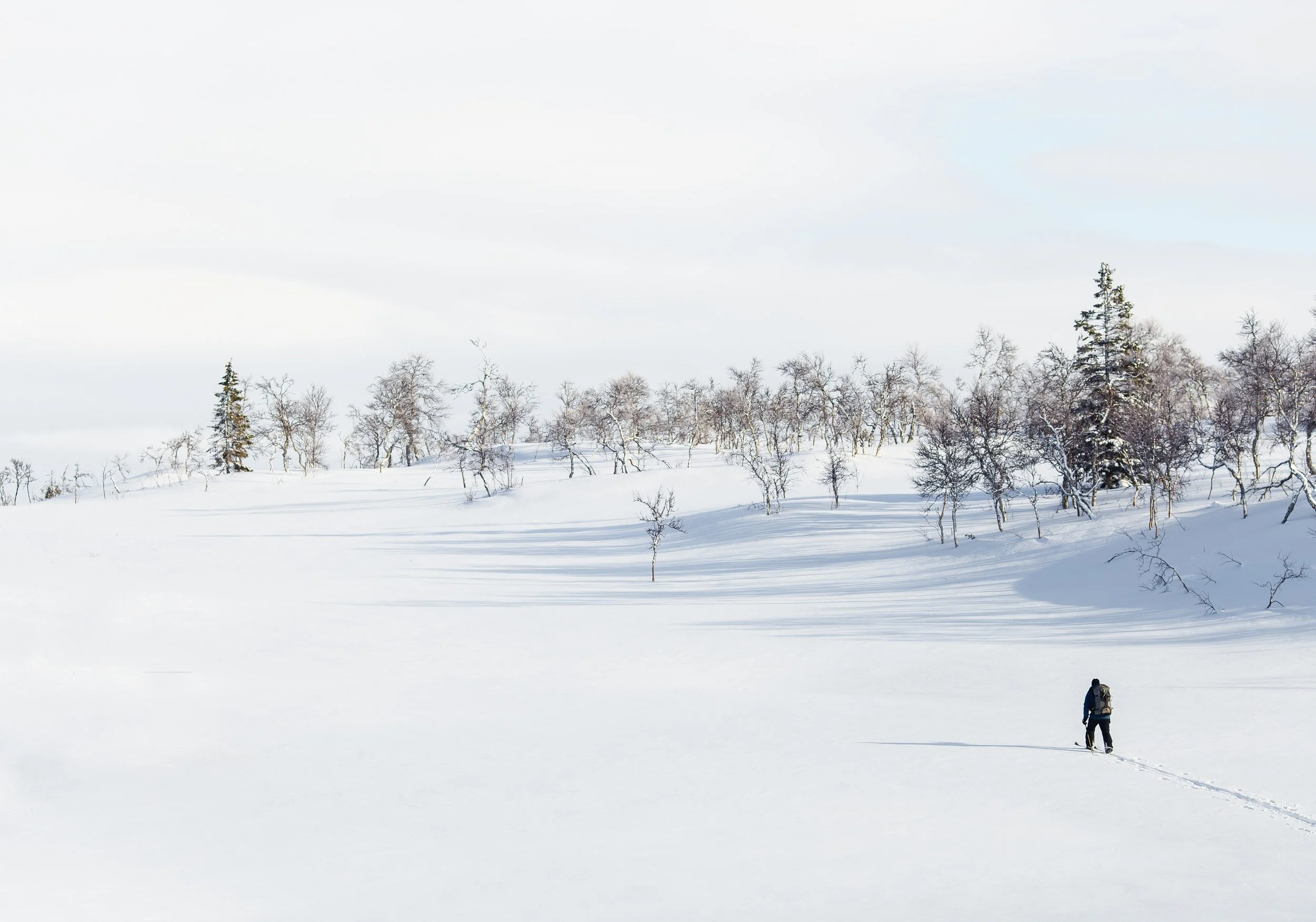 paseante por la nieve.jpg