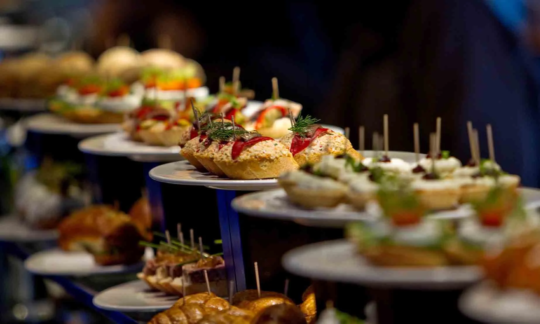 PINTXOS Y TXAKOLI PARTE VIEJA Y GROS