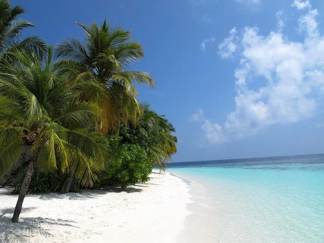 diffushi-isla-maldivas-alojamiento-barato.jpg