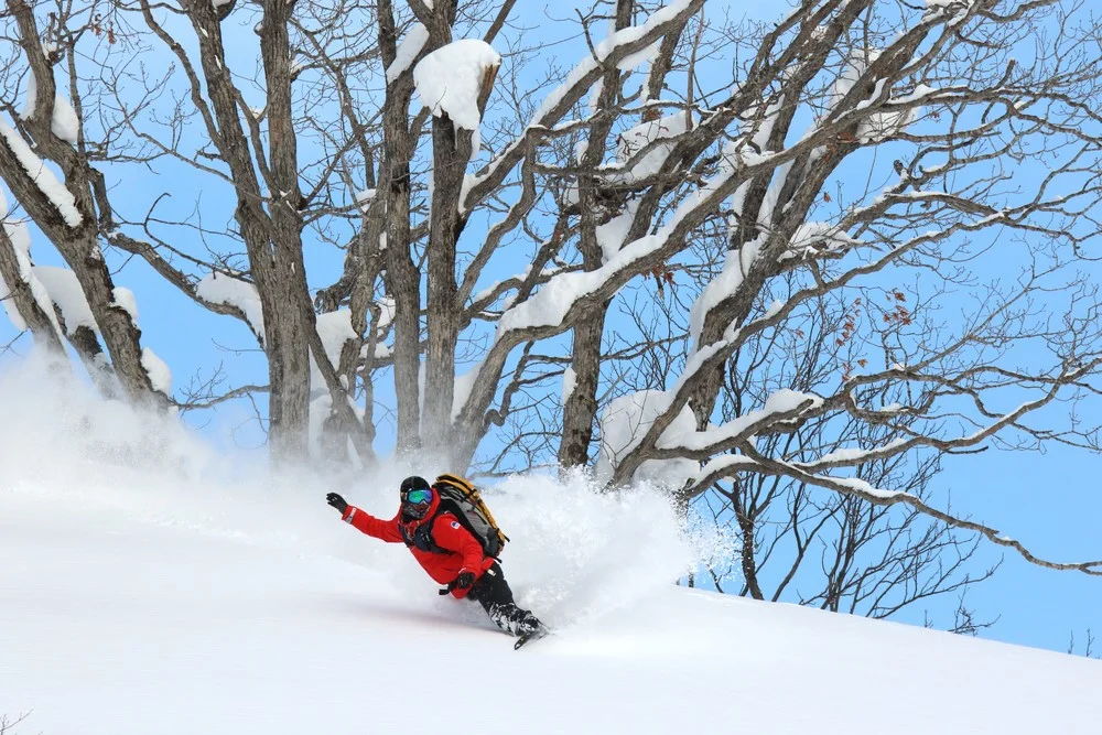 Snowboard_Niseko_Powder_Turn.jpg