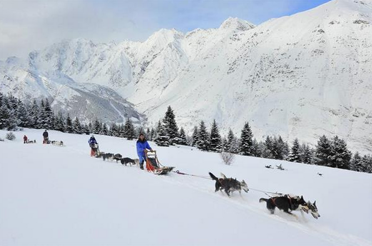 RECORRE LAS COLINAS NEVADAS EN TRINEO CON PERROS