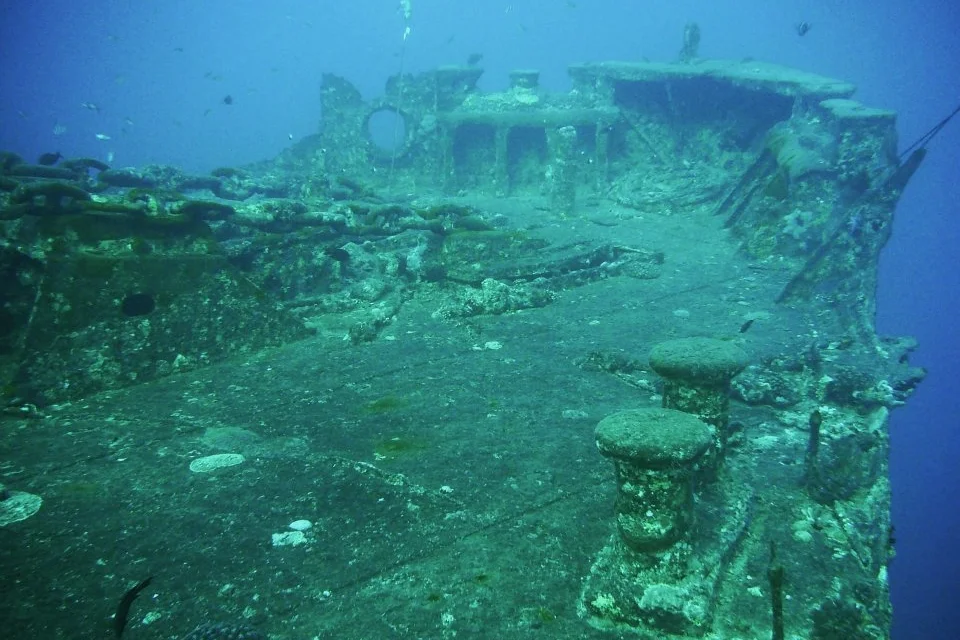 buceo_mar_rojo.jpg