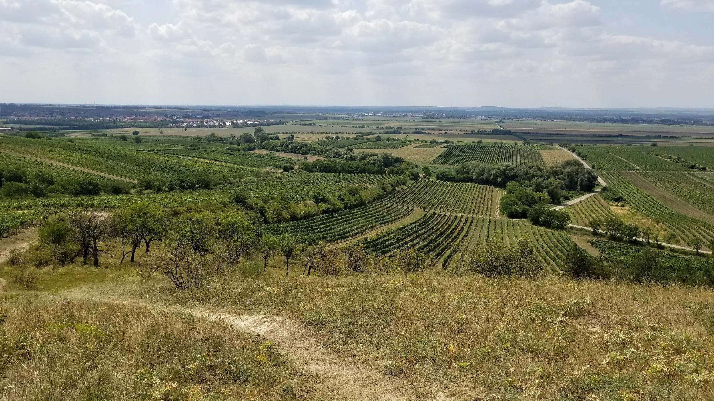 The Moravian countryside