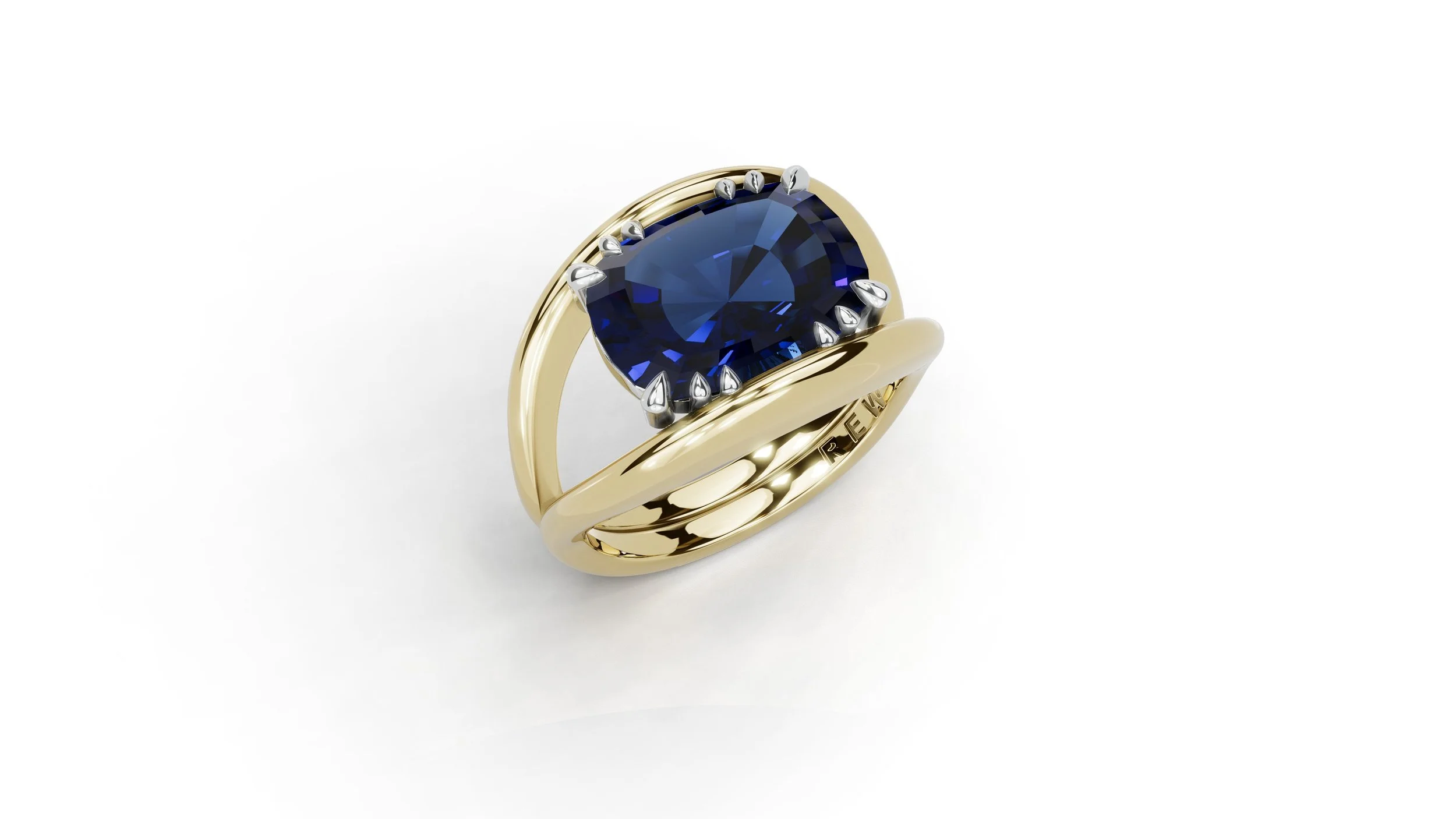 shark perspective.JPEG