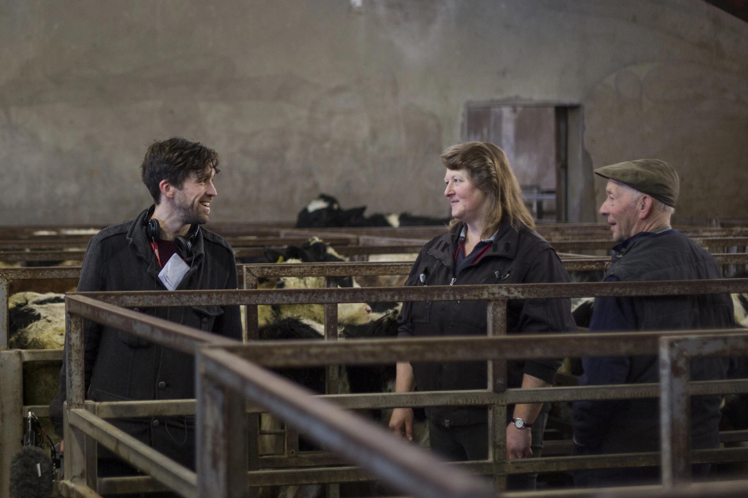 JL_photography20141220_Clogher_Mart_bbc0038.jpg