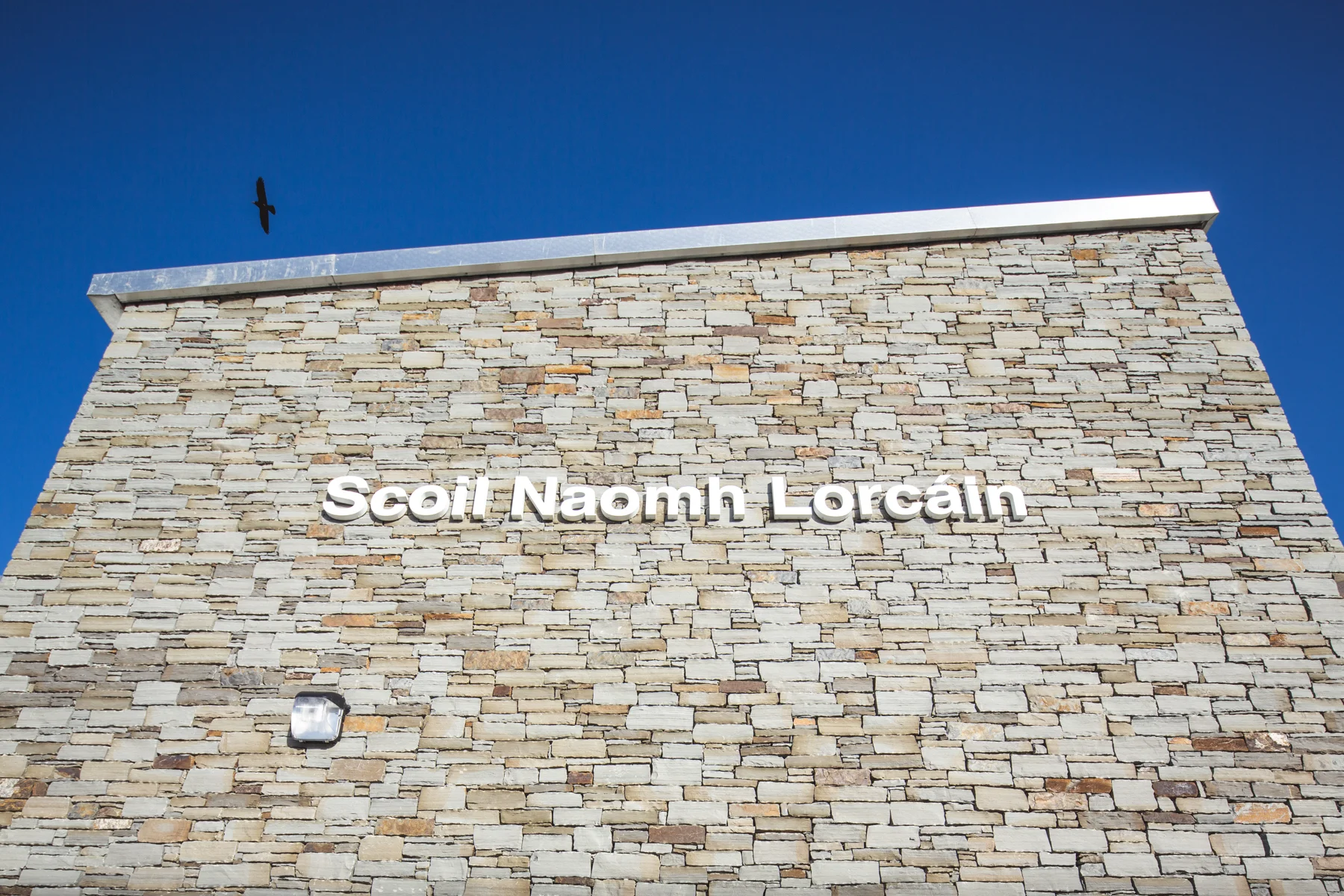 St_Lorcains_Primary_058.jpg