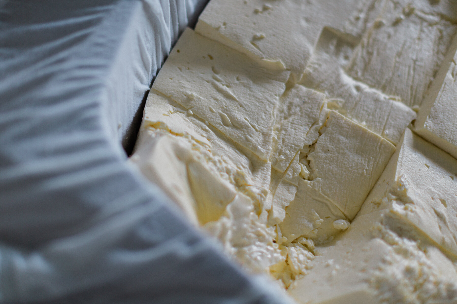 Mikes_Fancy_Cheese_lo-res-10.jpg