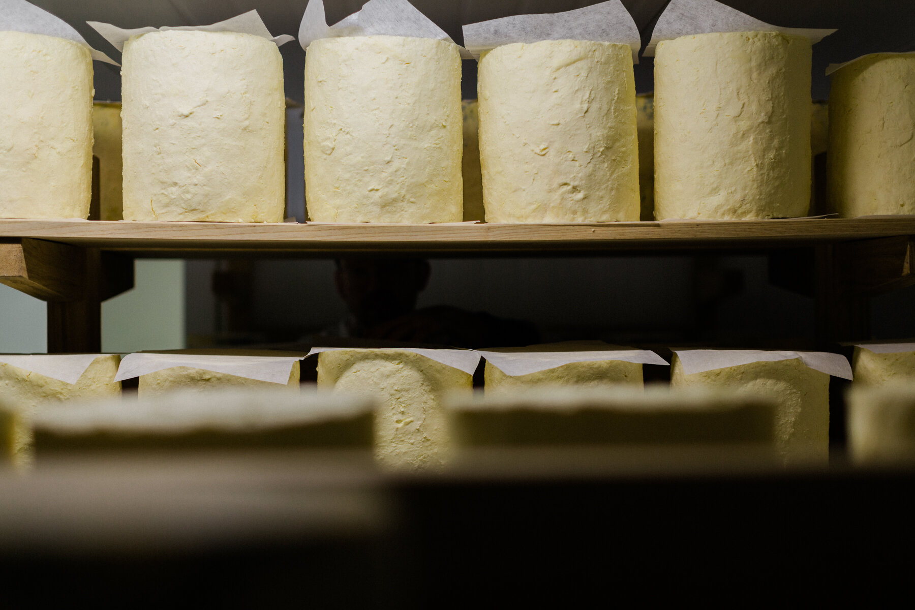 Mikes_Fancy_Cheese_lo-res-18.jpg