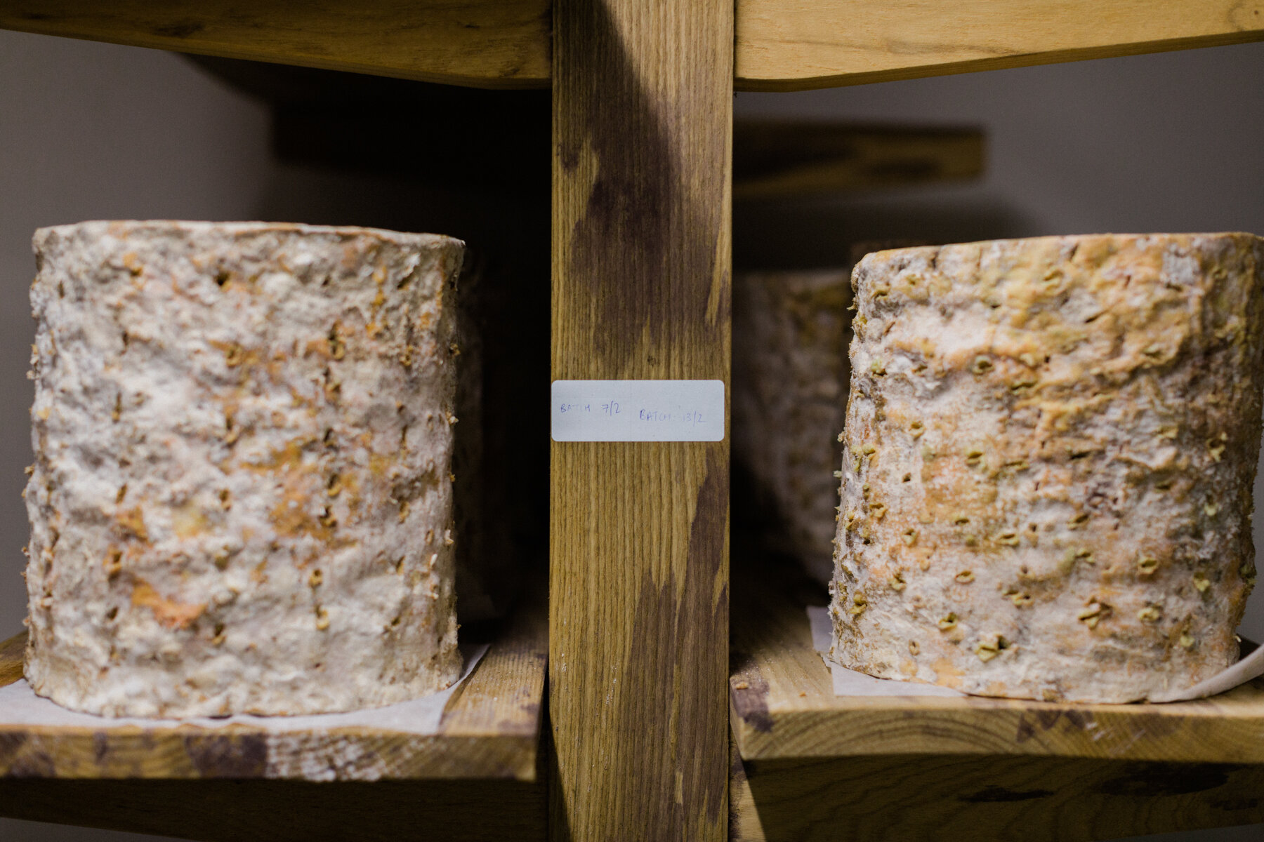 Mikes_Fancy_Cheese_lo-res-20.jpg