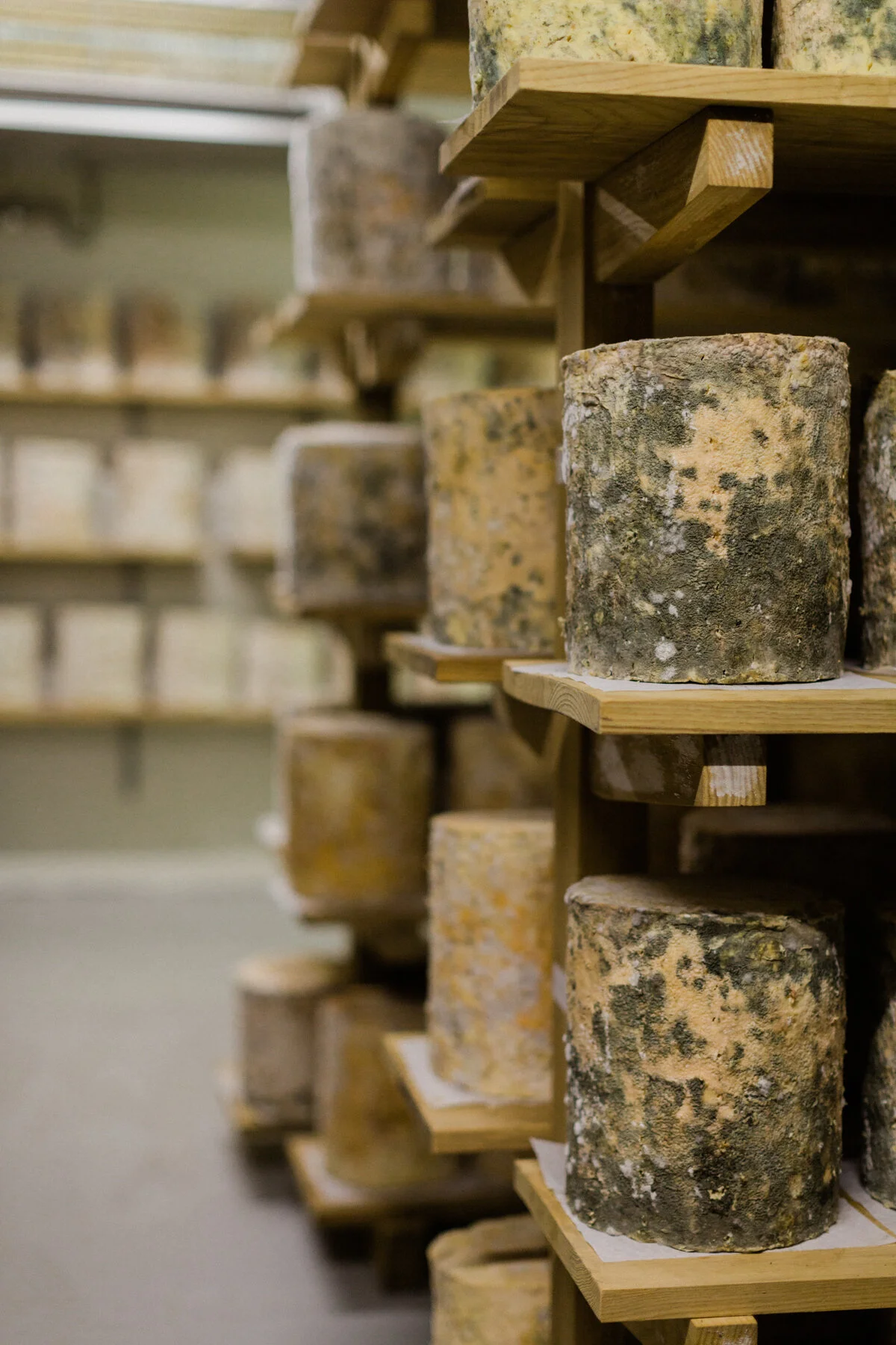 Mikes_Fancy_Cheese_lo-res-22.jpg