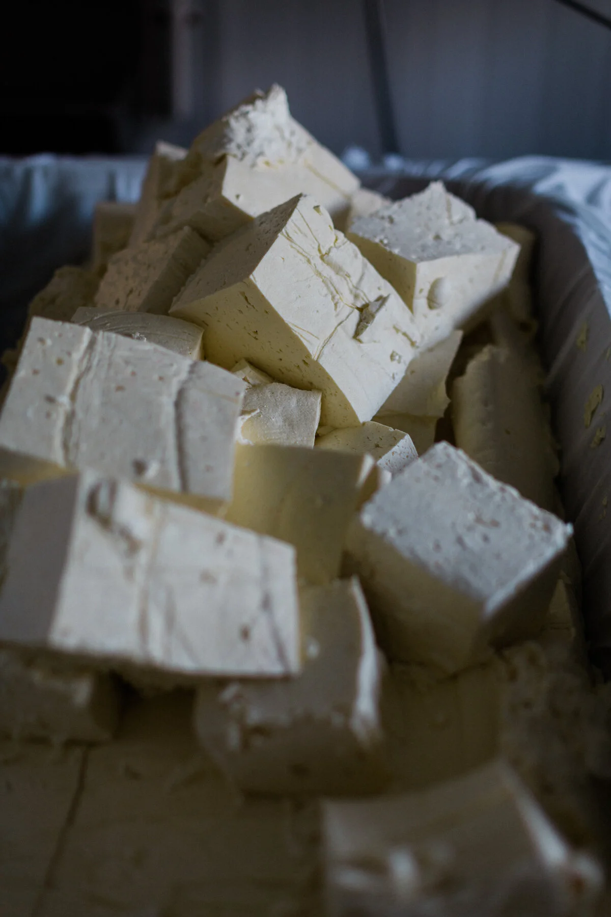 Mikes_Fancy_Cheese_lo-res-24.jpg
