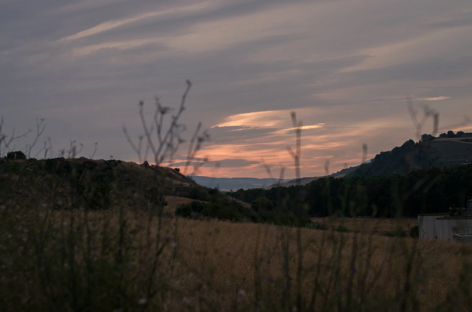 Camino_Selected--4.jpg