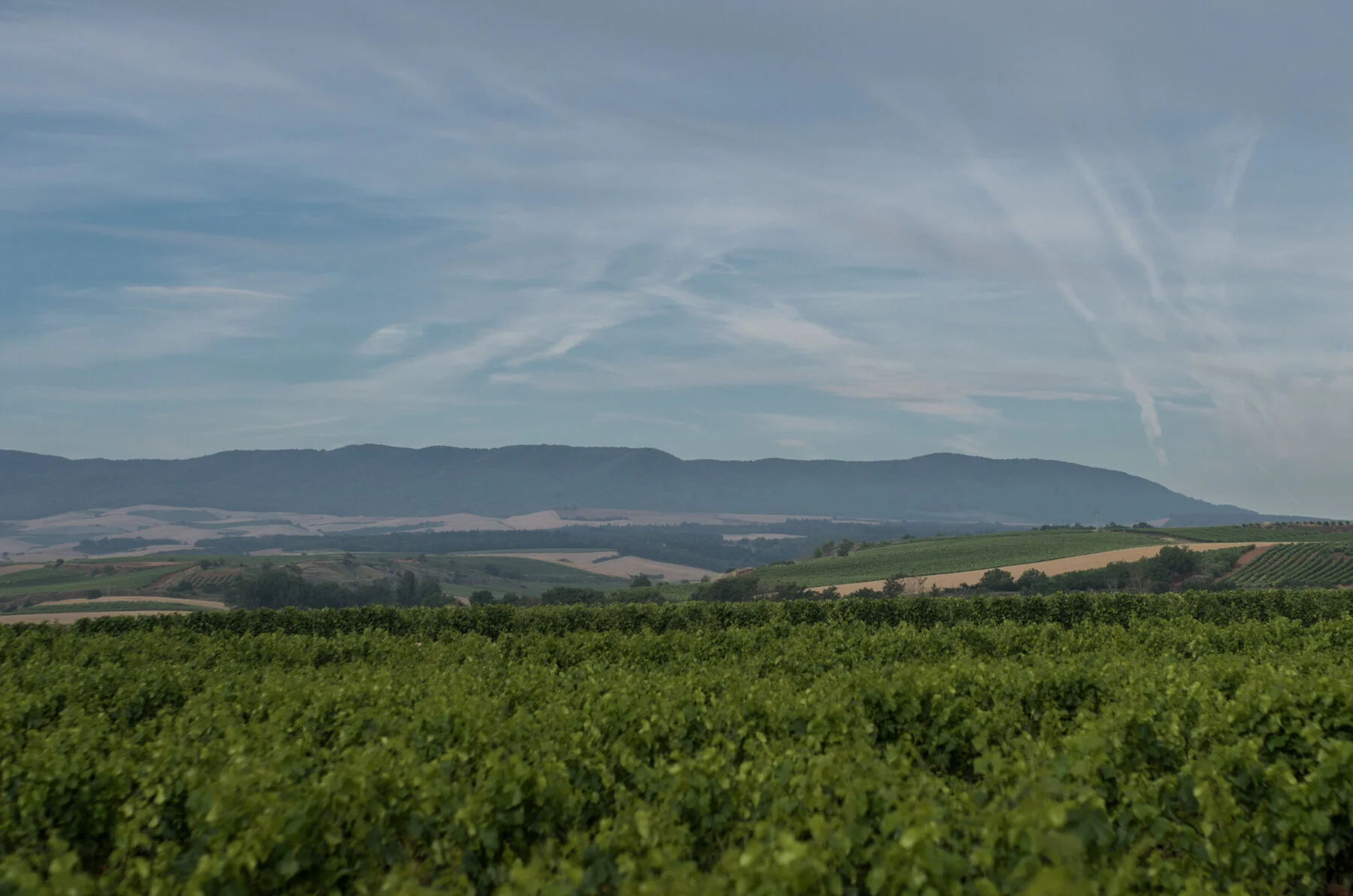 Camino_Selected--22.jpg