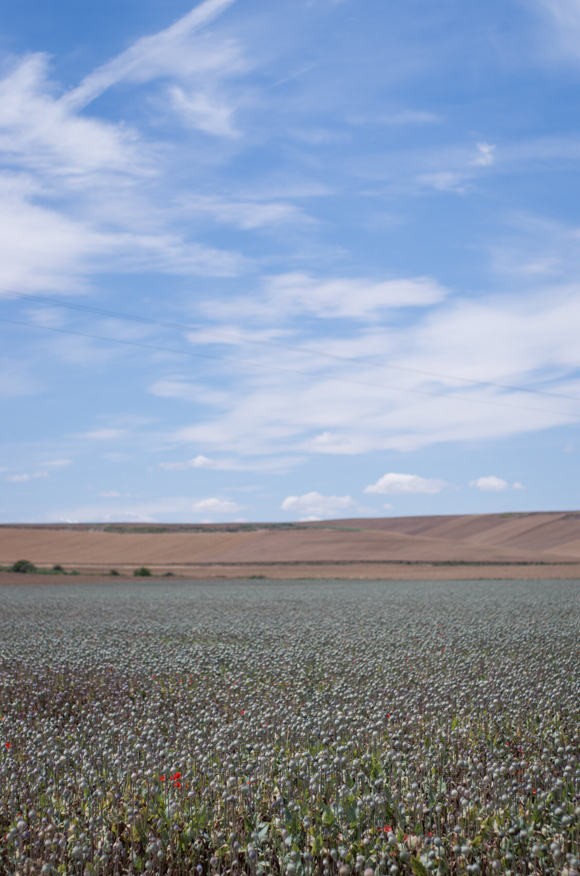 Camino_Selected--25.jpg