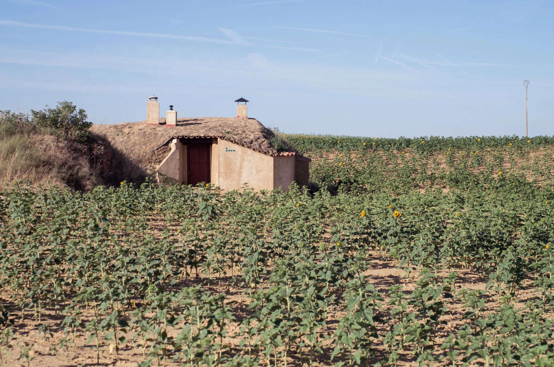 Camino_Selected--36.jpg