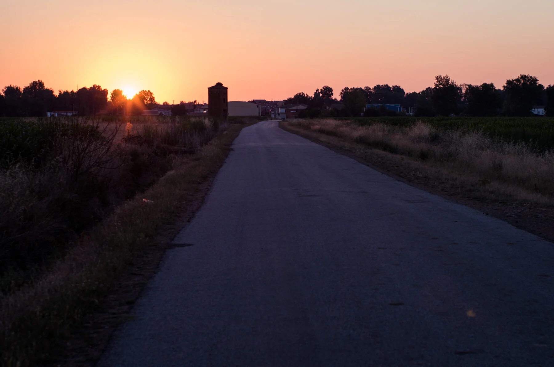 Camino_Selected--39.jpg