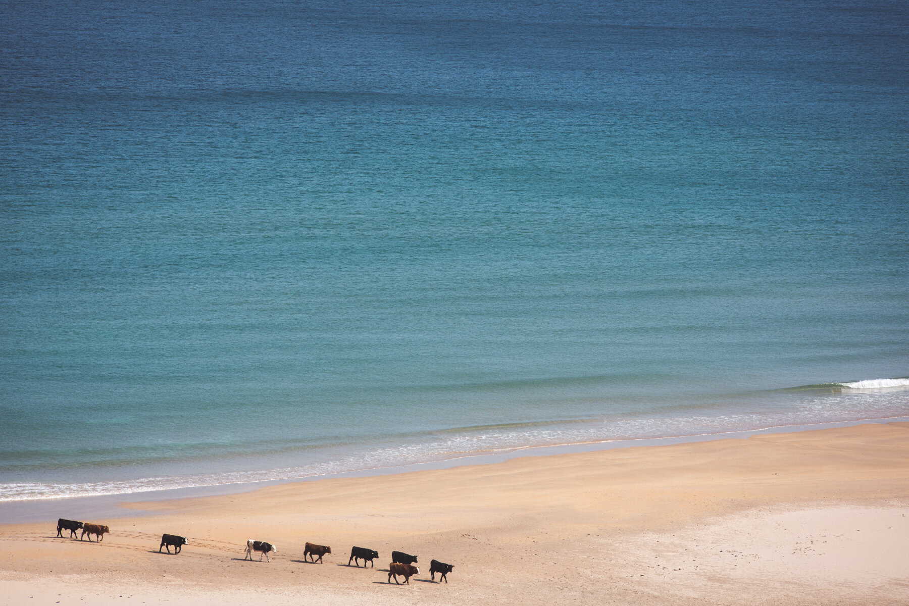 Ireland- North Coast