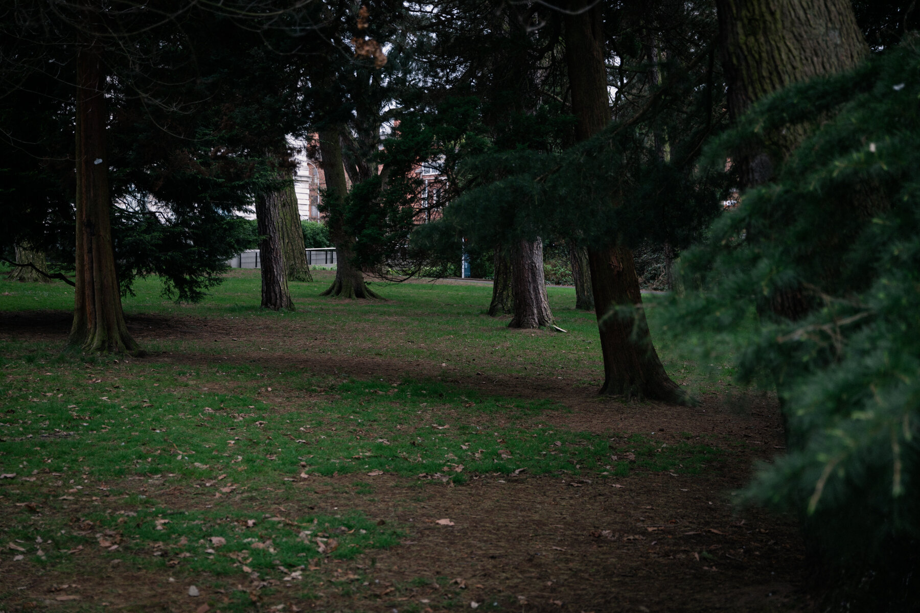 An eerily quiet Botanic Gardens, Belfast./