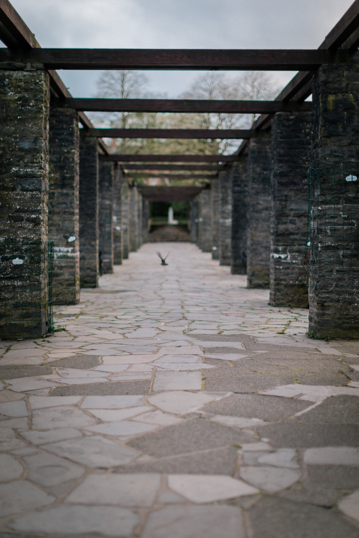 Botanic Gardens, Belfast.