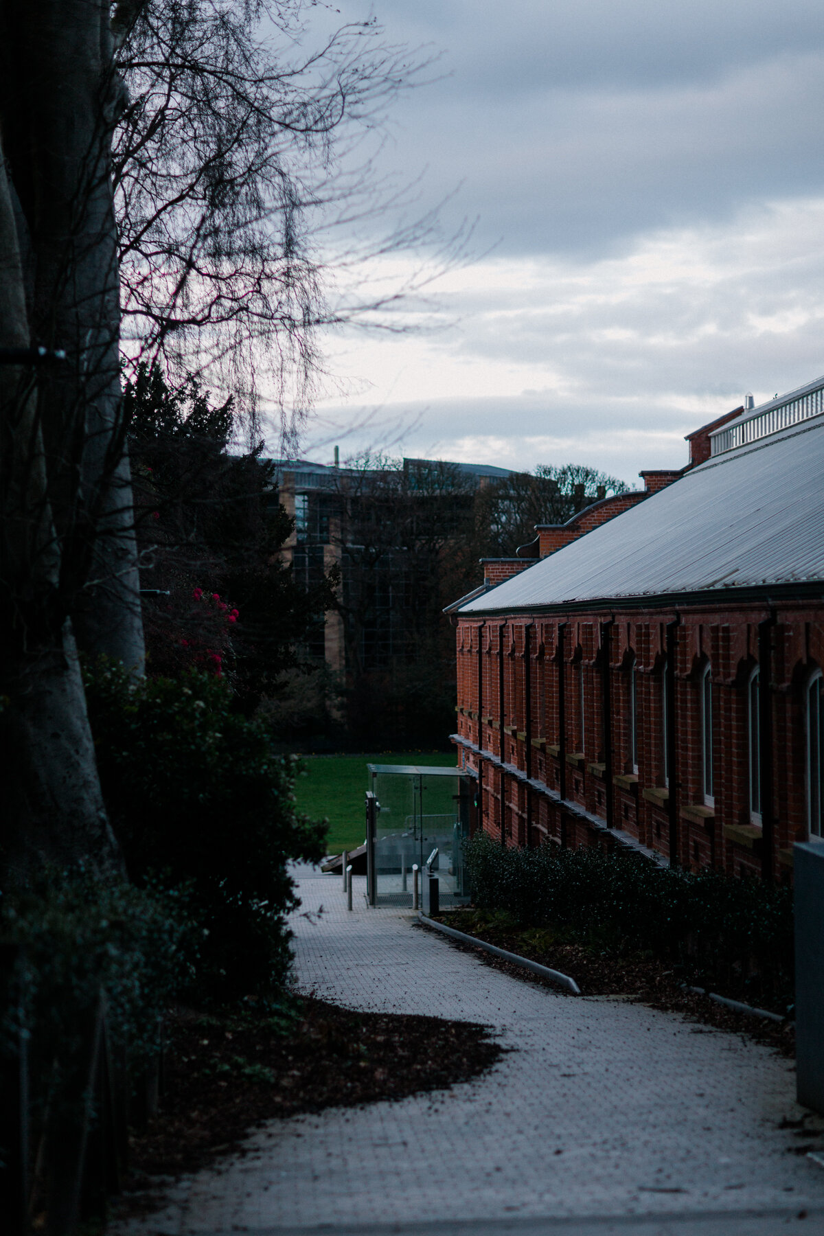 The tropical ravine, at Botanic Gardens, Belfast - closed indefinitely .
