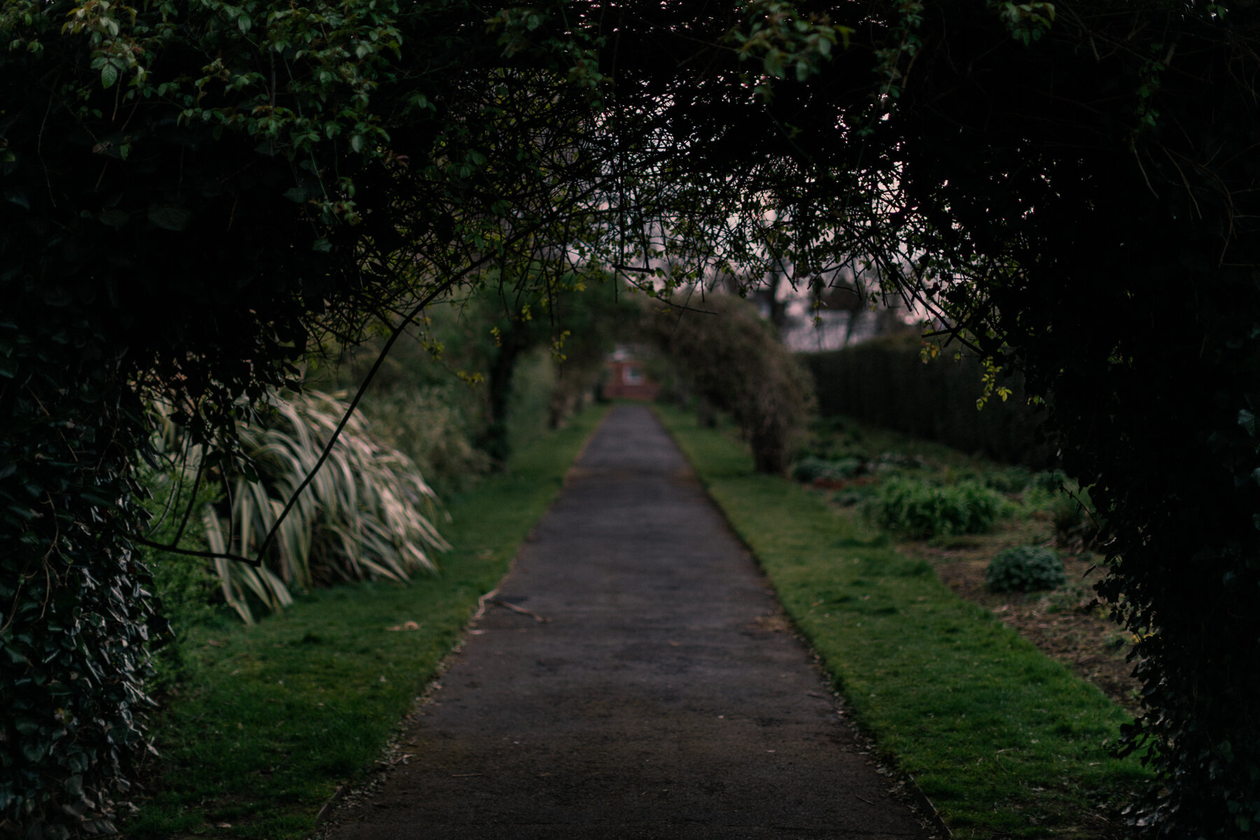 The upper pathway at Botanic Gardens, Belfast.