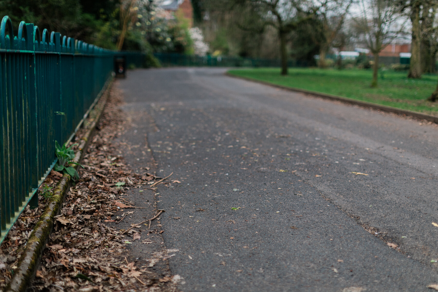 The main route for commuting walkers, through Botanic Gardens, Belfast.