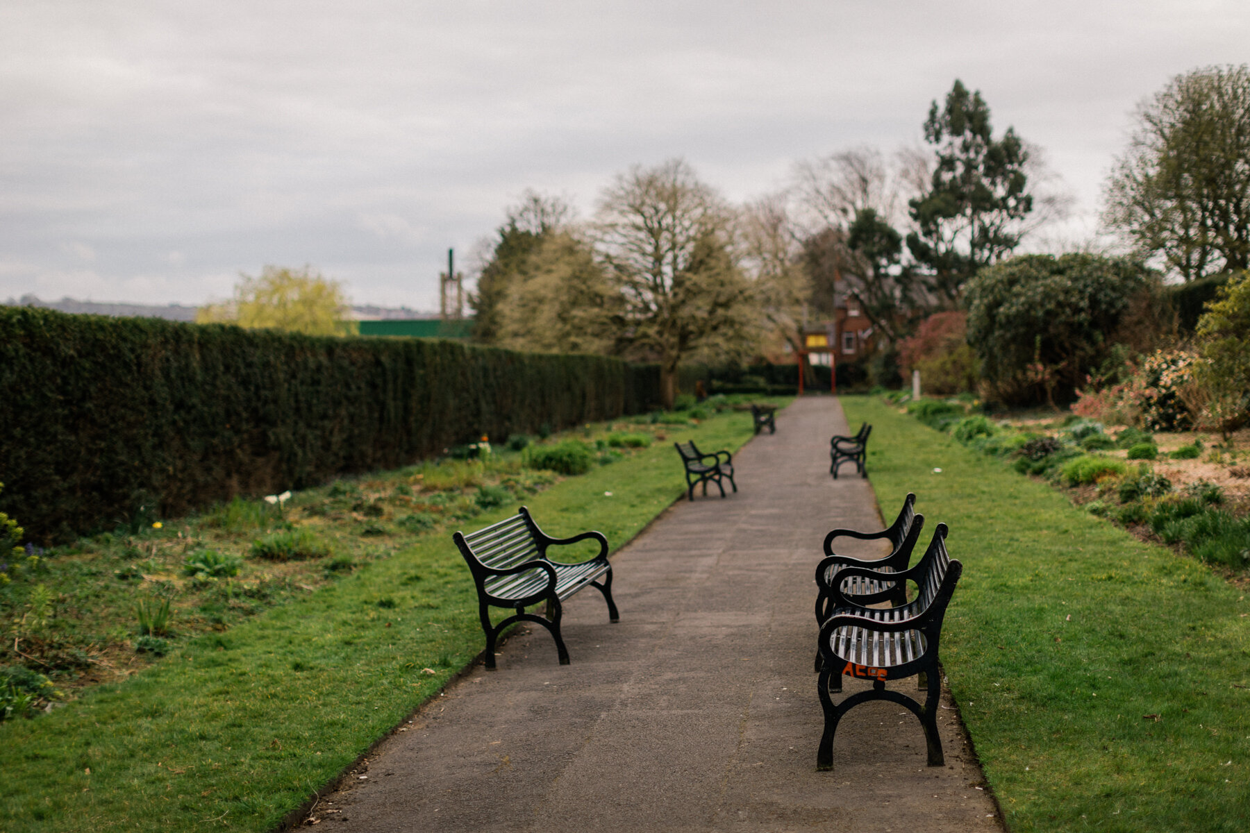 Empty benches line the paths of Botanic Gardens, Belfast.