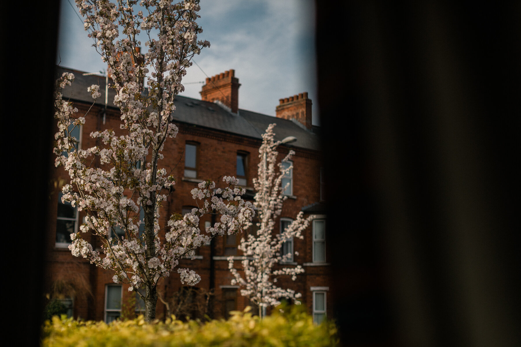 Looking out at the Street, Belfast.