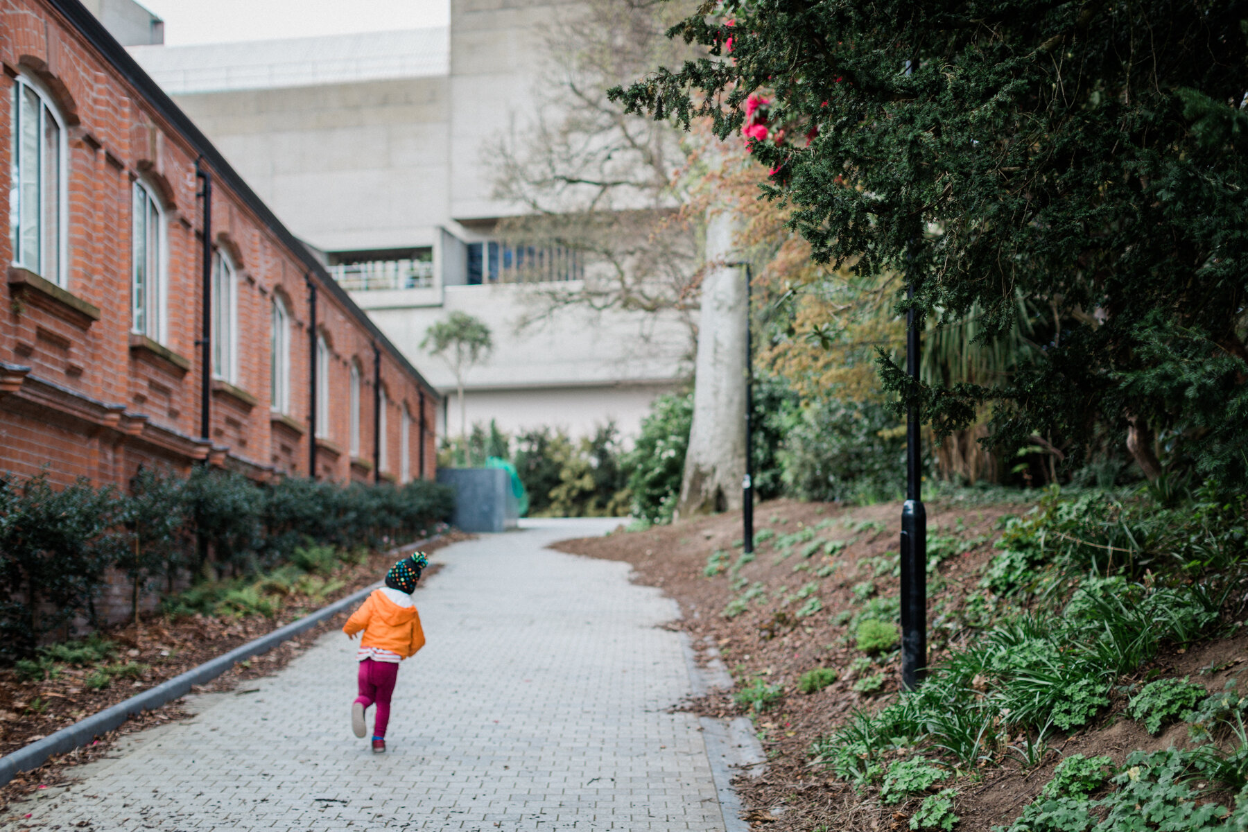 The park all to ourselves, morning walk in Botanic Gardens, Belfast.