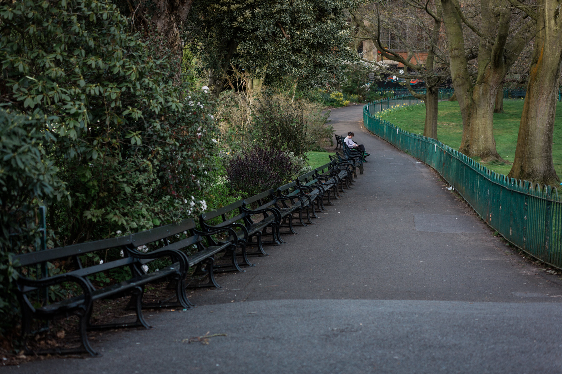 Solitary reader on the park benches, Botanic Gardens, Belfast.