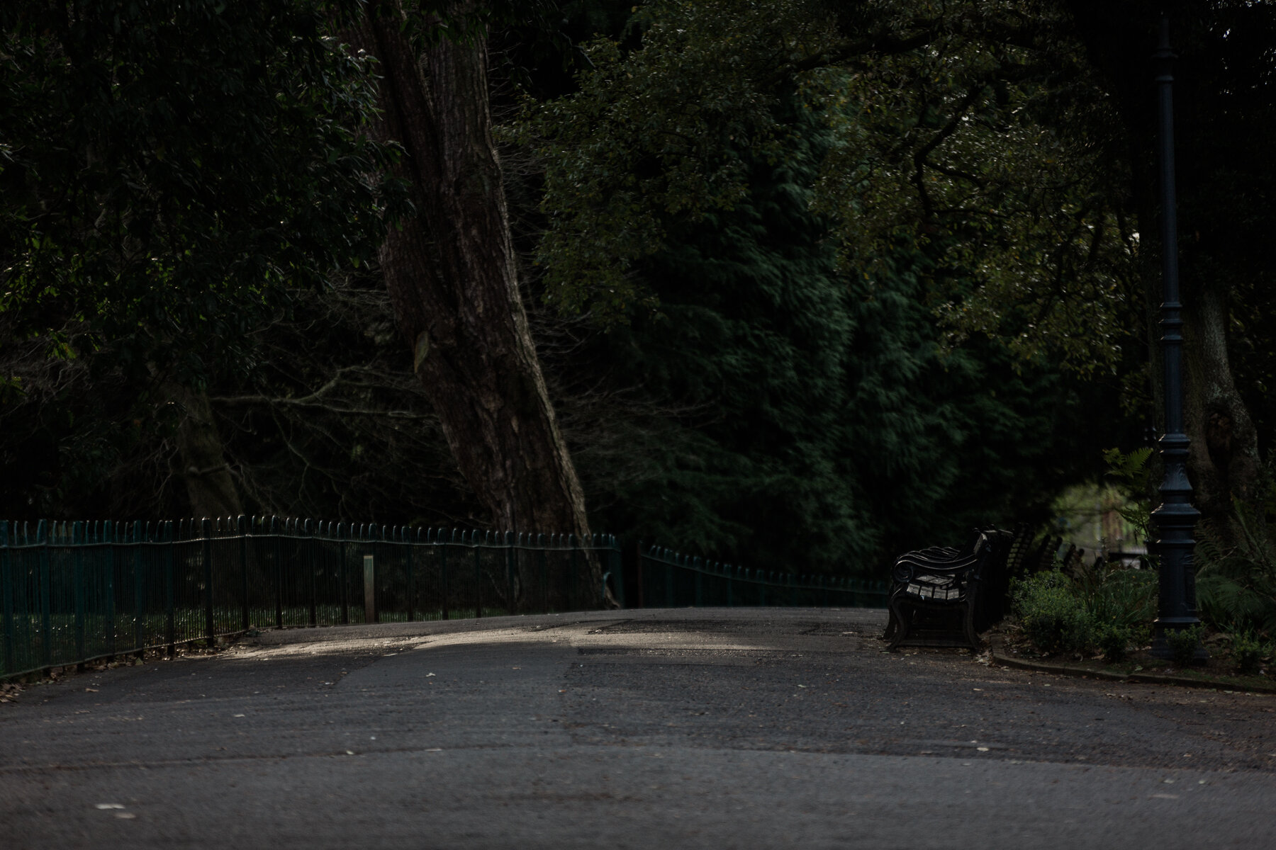Evening sun, catching the empty park benches, Botanic Garden, Belfast.