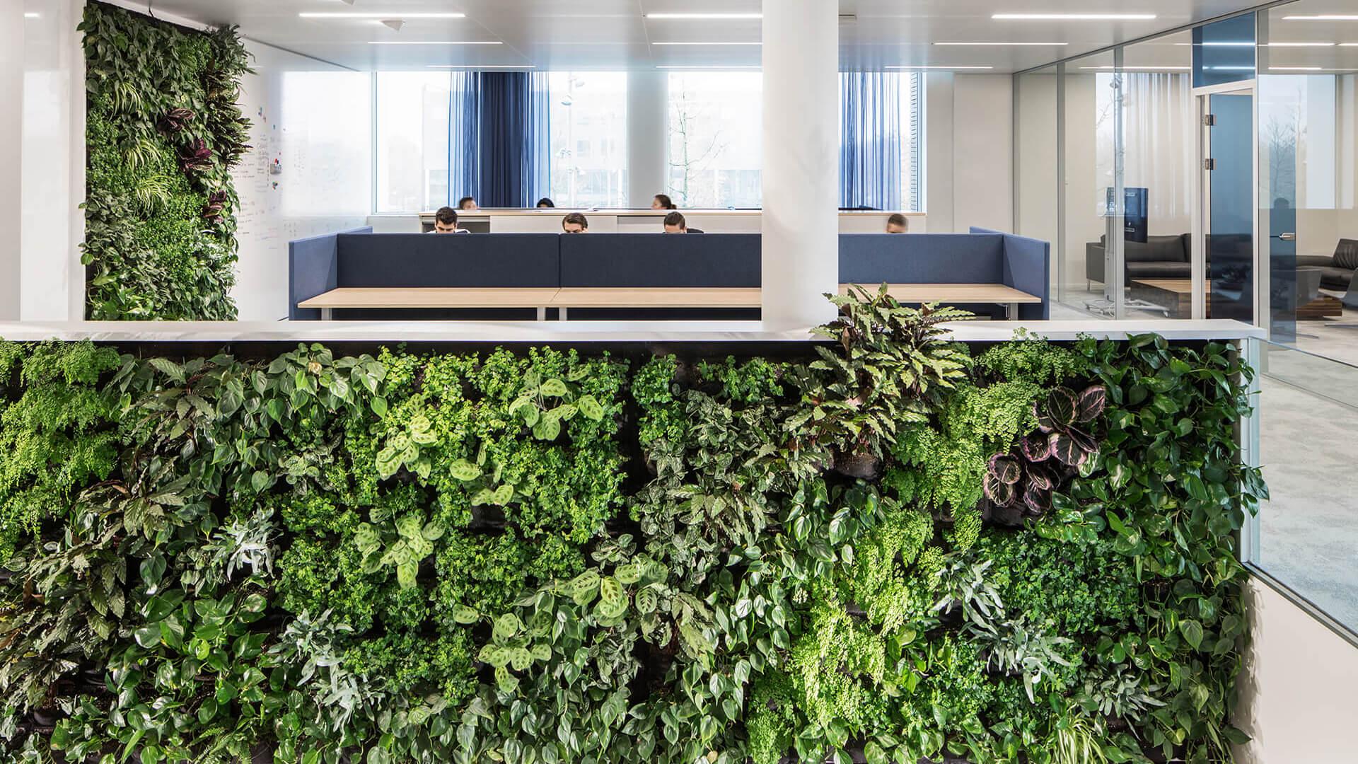 Schouw Informatisering, The Netherlands by i29