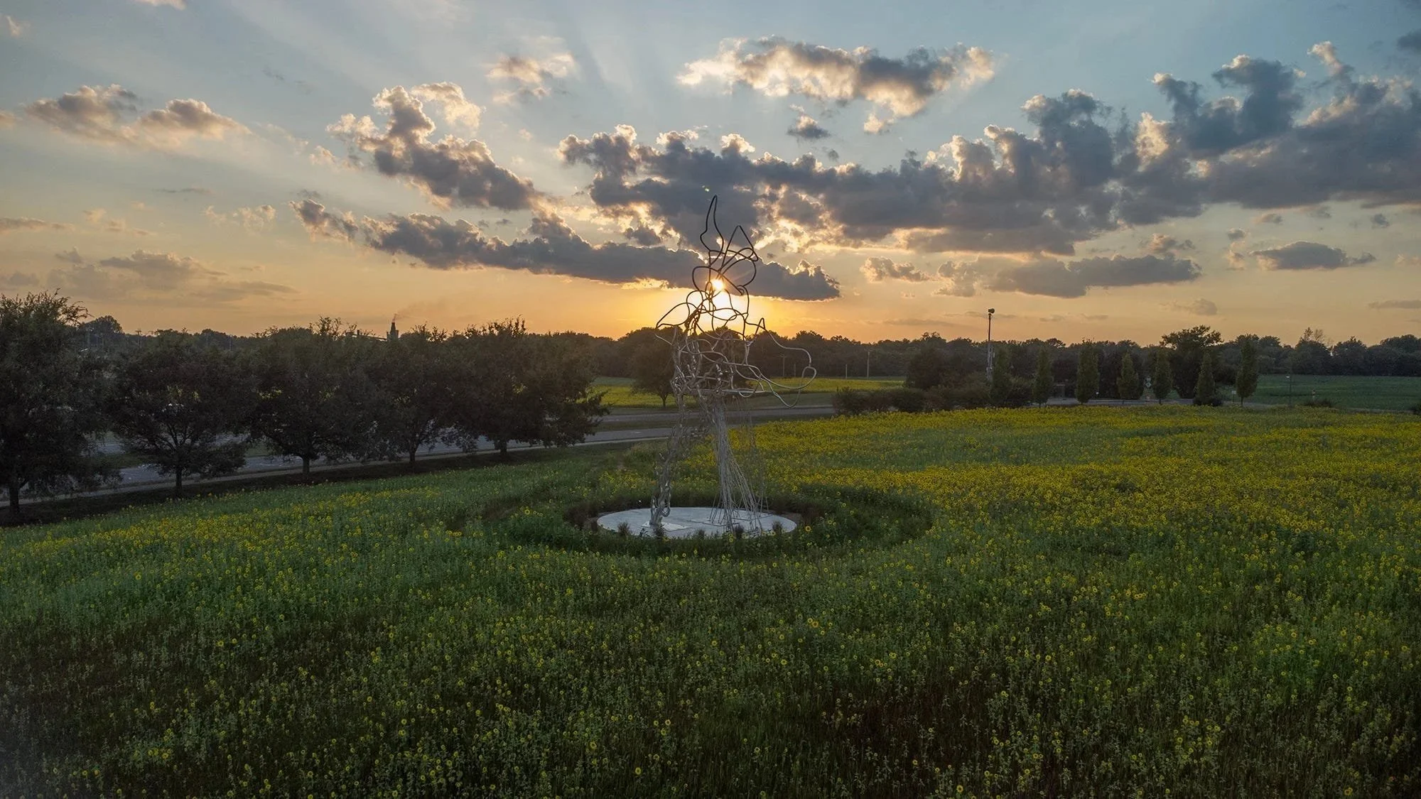 Blue River- Wind, Rain, and Water 