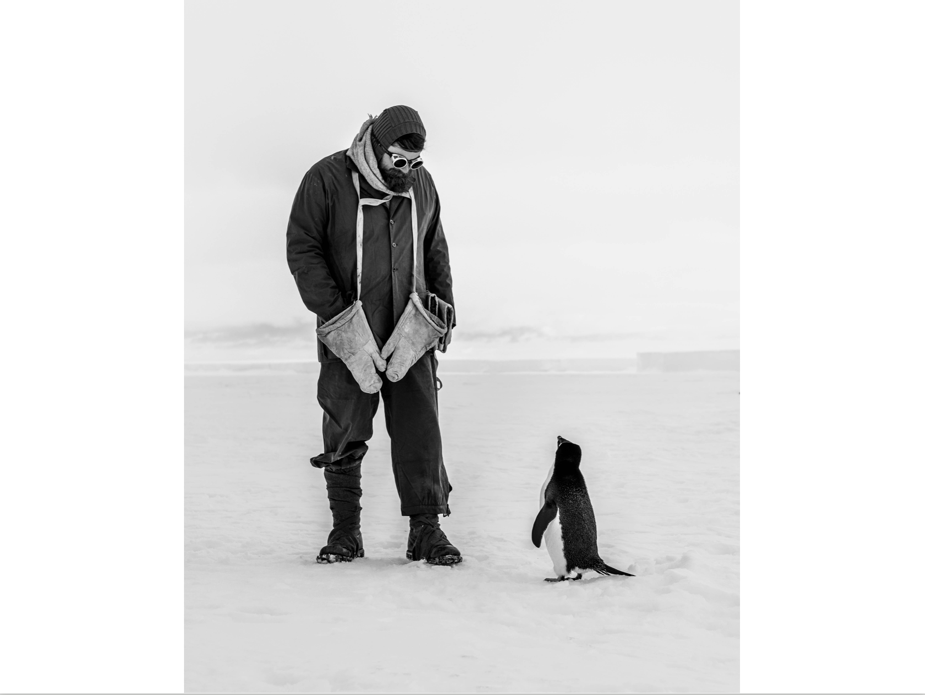 Weddell Sea 100 years after Hurley