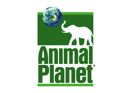 Animal planet.png