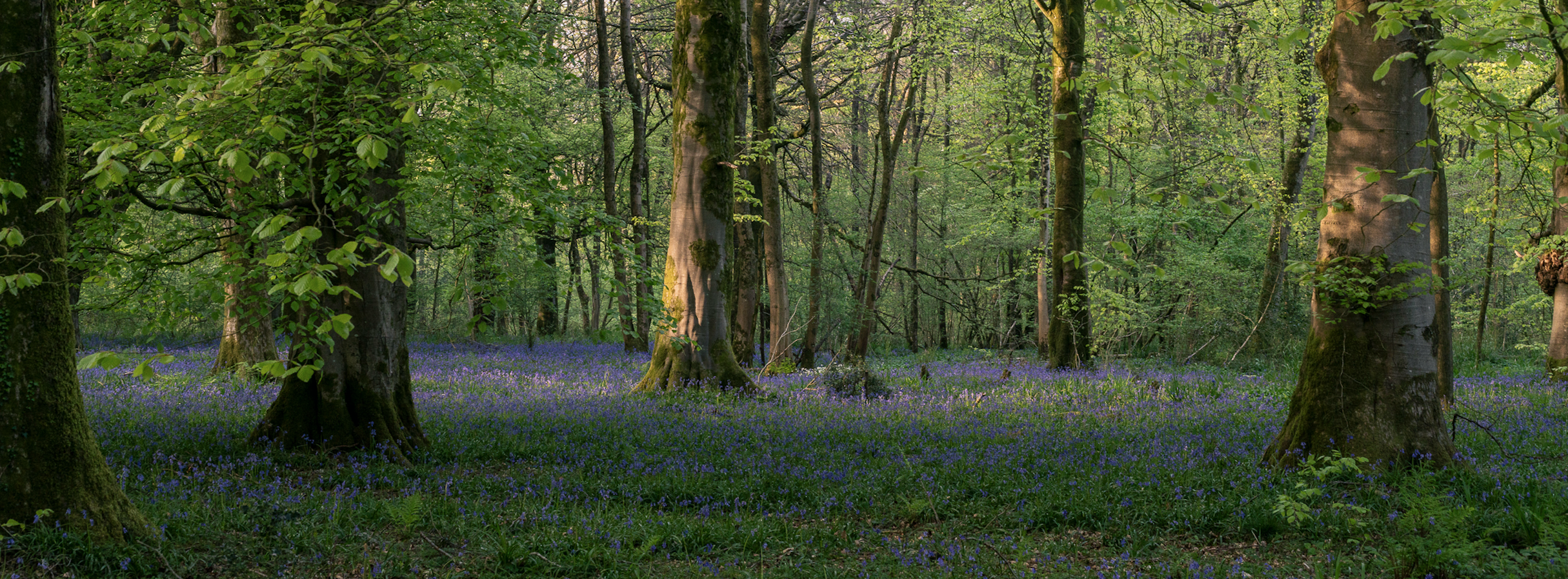 Screenshot 2026-06-09 at 14.51.37.png