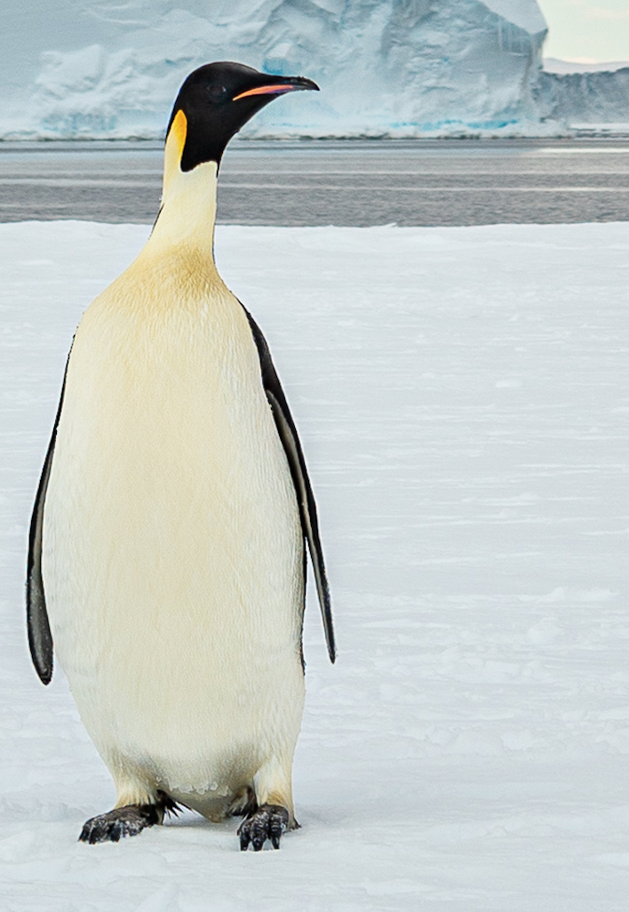 Screenshot 2025-11-27 at 20.29.37.png