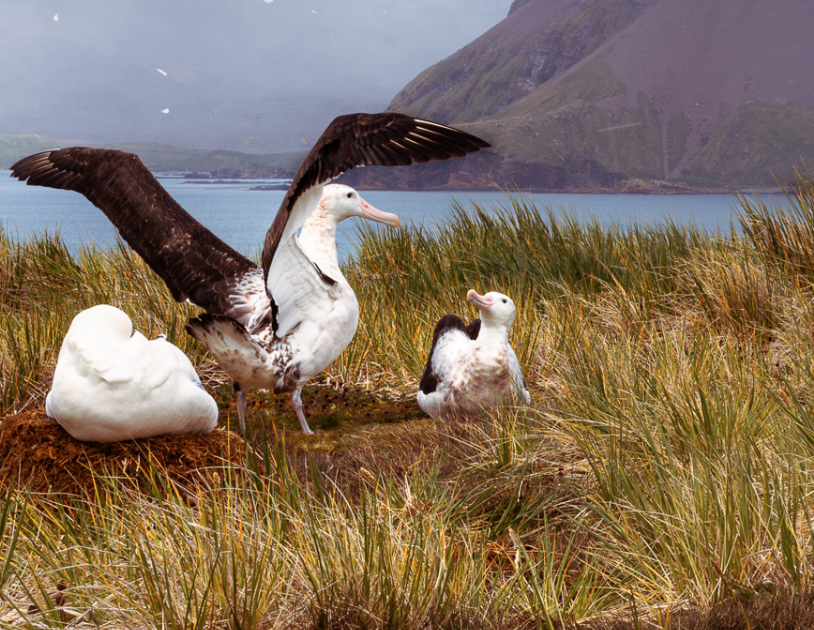 Screenshot 2025-11-27 at 22.40.05.png