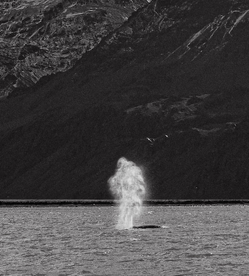 Screenshot 2025-11-27 at 21.04.40.png