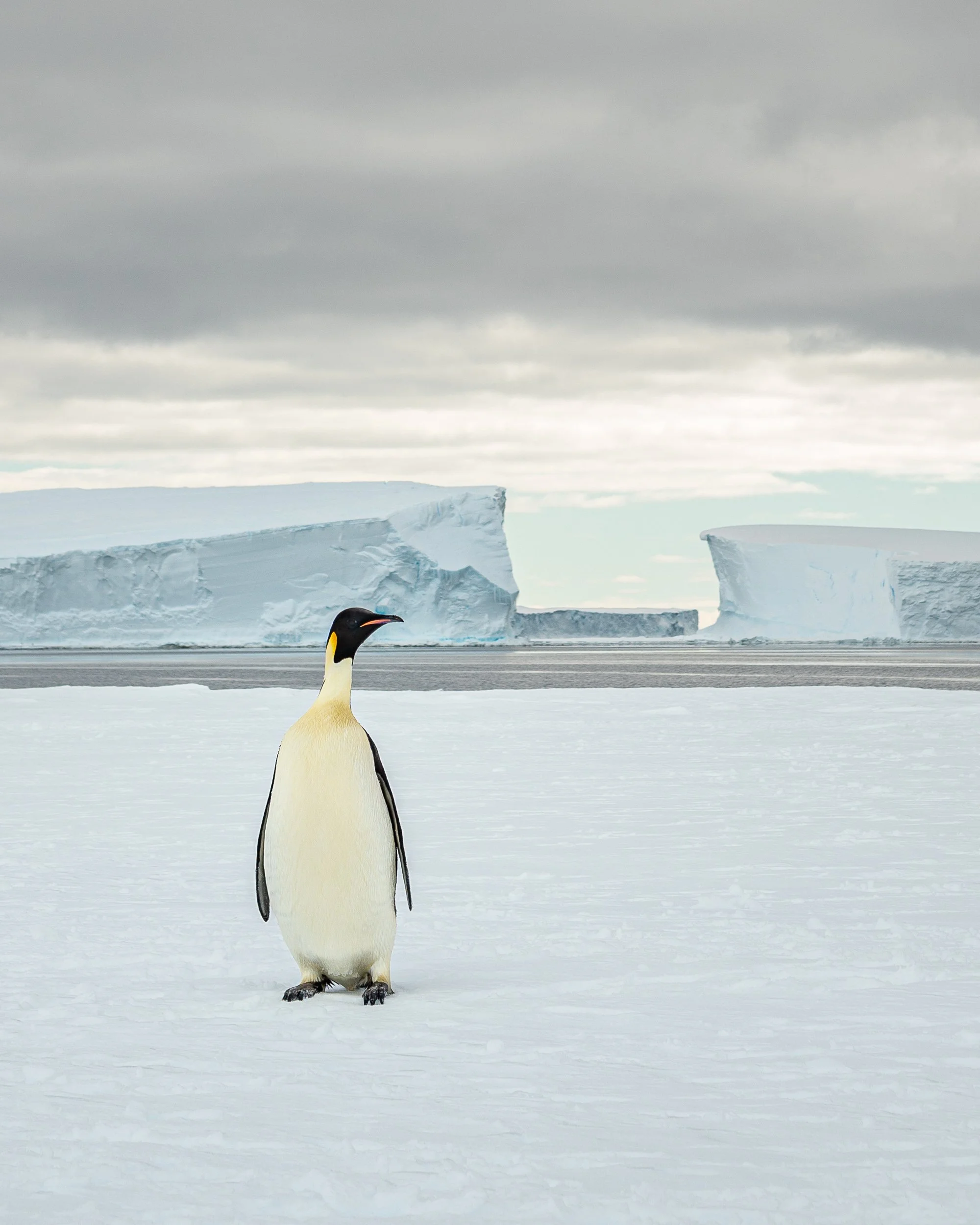 _DSC8092.jpg