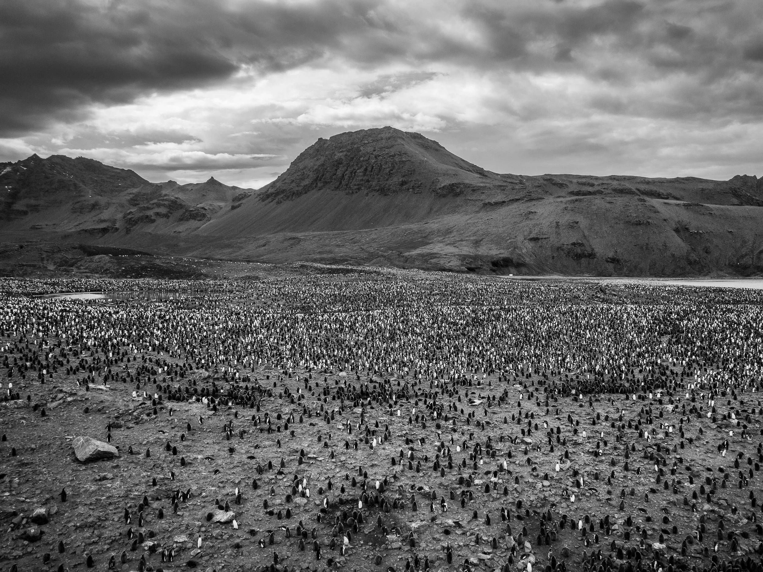 DJI_0978-TrueBW.jpg