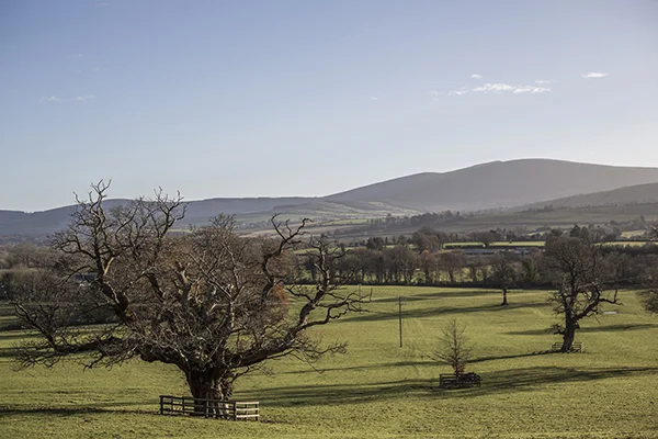 JL_photographyToaster_Kate_WeddingDec_20140001.jpg