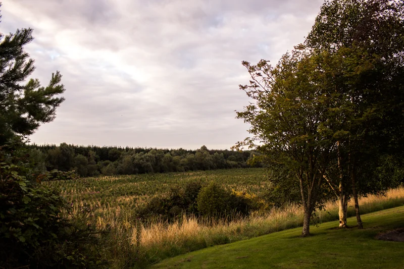 muireann_denis_blog_158.jpg