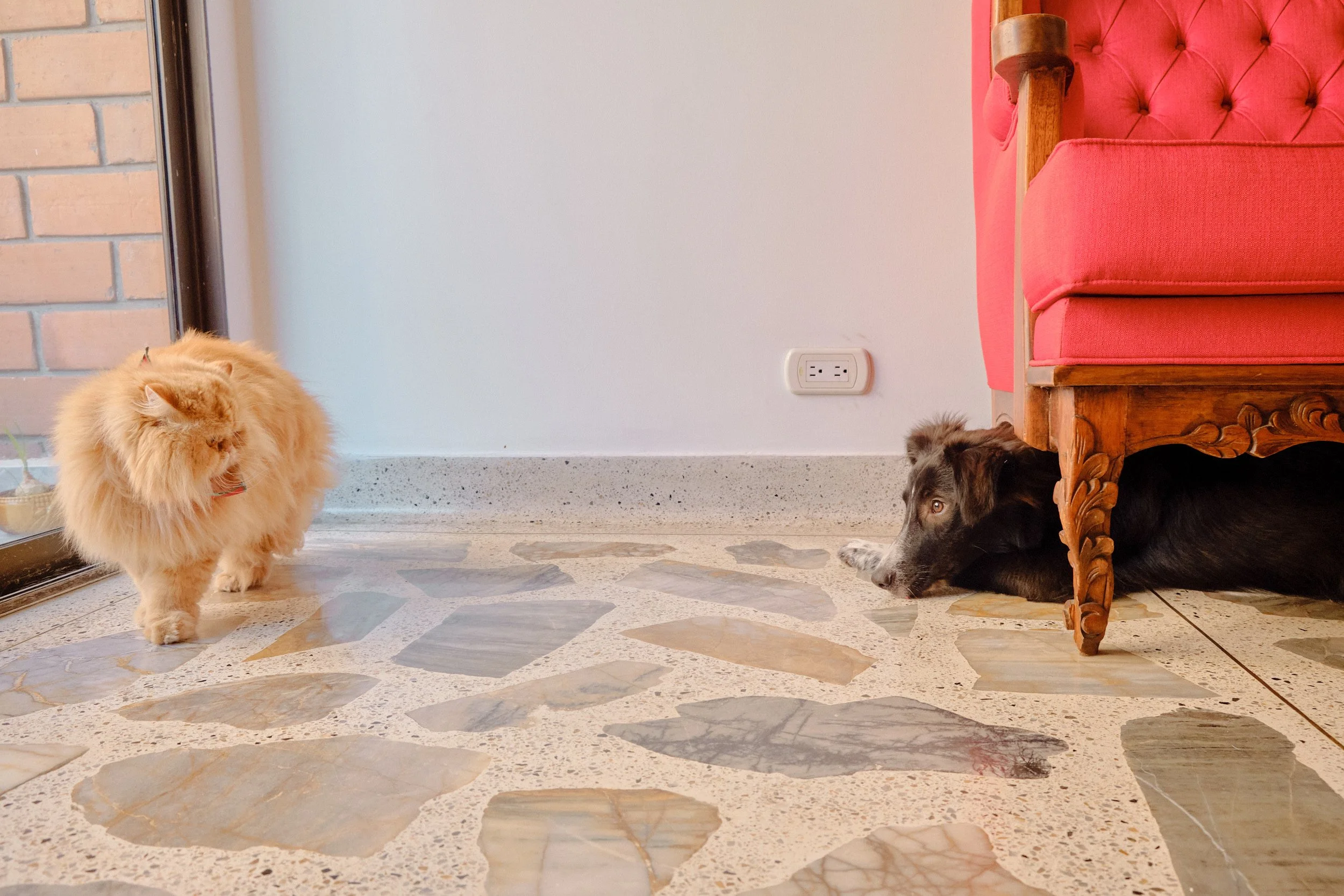 DSCF4411.jpg