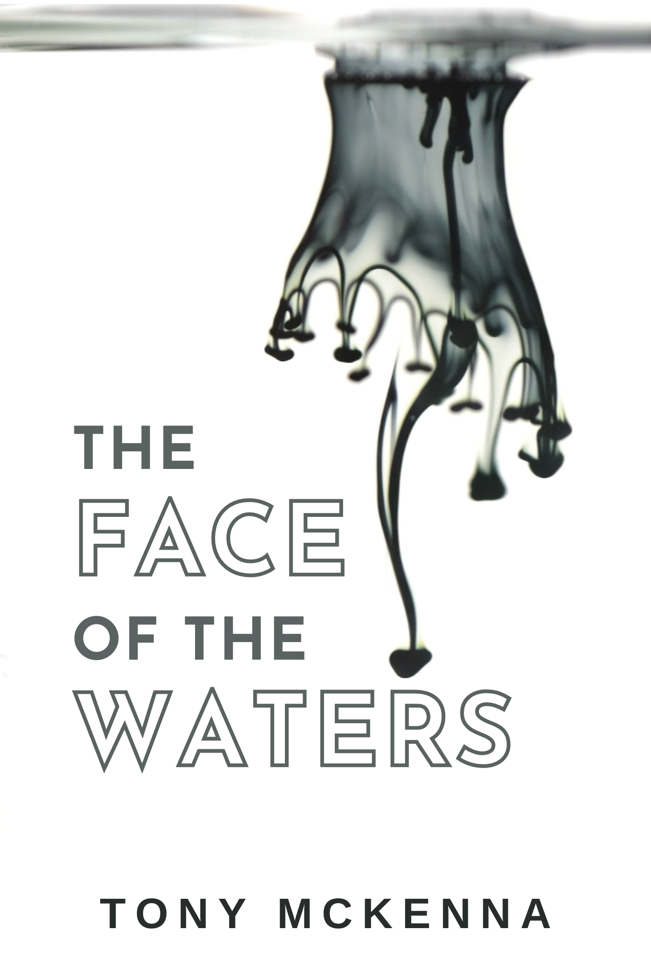 Face of the Waters - cover.png