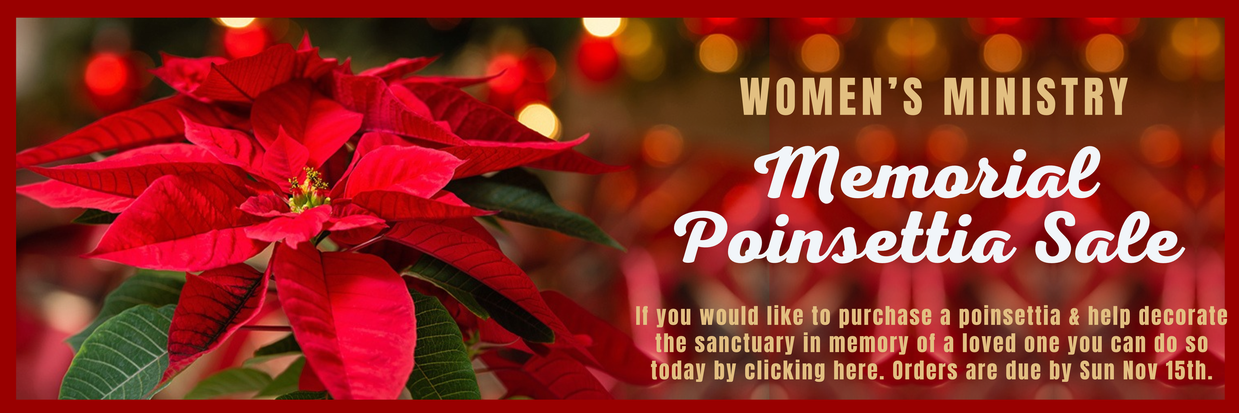 memorial poinsettias 2026--website banner  (1).png